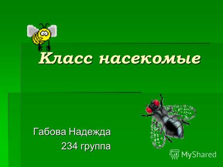 Класс насекомые Габова Надежда 234 группа. Цель проекта: Изучить многообразие насекомых и их роль в природе.