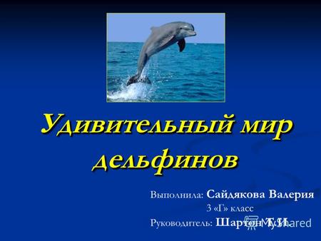 Удивительный мир дельфинов Выполнила: Сайдякова Валерия 3 «Г» класс Руководитель: Шартон Т.И.