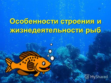 Особенности строения и жизнедеятельности рыб. Заполните пропуски в тексте Рыбы – это … (1) животные, обитающие в воде. Органами дыхания служат …(2). Имеются.