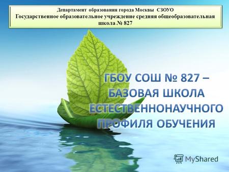 Департамент образования города Москвы СЗОУО Государственное образовательное учреждение средняя общеобразовательная школа 827.