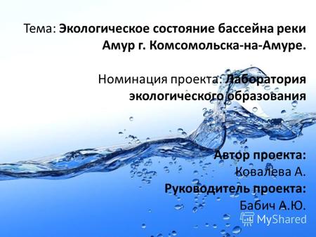 Тема: Экологическое состояние бассейна реки Амур г. Комсомольска-на-Амуре. Номинация проекта: Лаборатория экологического образования Автор проекта: Ковалева.