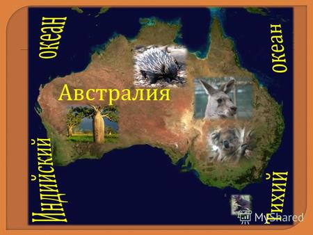 Австралия На оценку отлично - вопросы : С юга Австралию омывает залив ……………………………………. На востоке материка протянулись горы …………………………….. Бассовым проливом.