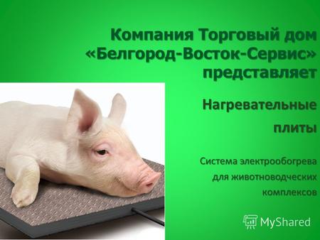 Компания Торговый дом «Белгород-Восток-Сервис» представляет Нагревательныеплиты Система электрообогрева для животноводческих комплексов.
