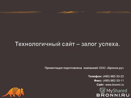Презентация подготовлена компанией ООО «Бронни.ру» Телефон: (495) 982-33-22 Факс: (495) 982-33-11 Сайт: www.bronni.ru.
