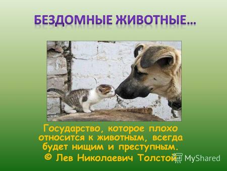 Государство, которое плохо относится к животным, всегда будет нищим и преступным. © Лев Николаевич Толстой.