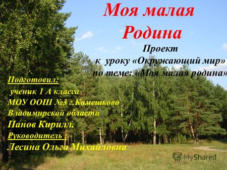 Моя малая Родина Подготовил : ученик 1 А класса МОУ ООШ 3 г. Камешково Владимирской области Панов Кирилл. Руководитель : Лесина Ольга Михайловна Проект.