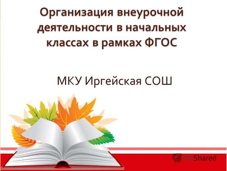 Организация внеурочной деятельности в начальных классах в рамках ФГОС МКУ Иргейская СОШ.