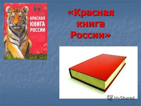 «Красная книга России». Ученые мира в 1966 году создали Международный союз охраны природы, который стал изучать, каким растениям и животным надо помочь.