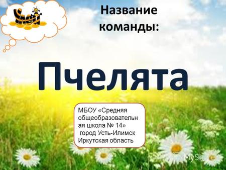 Название команды: Пчелята МБОУ «Средняя общеобразовательн ая школа 14» город Усть-Илимск Иркутская область.