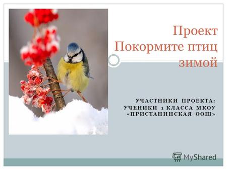 УЧАСТНИКИ ПРОЕКТА: УЧЕНИКИ 1 КЛАССА МКОУ «ПРИСТАНИНСКАЯ ООШ» Проект Покормите птиц зимой.