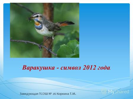 Варакушка - символ 2012 года. Заведующая ТСОШ 26 Коркина Т.М.