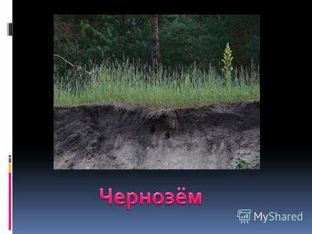 Чернозем это такая растительно- наземная почва, толщина которой в среднем около 60 см. Под дерном в 5–8 см толщиной идет темная однородная рыхлая масса.