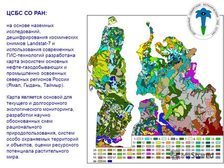 ЦСБС СО РАН: на основе наземных исследований, дешифрирования космических снимков Landstat-7 и использования современных ГИС-технологий разработана карта.