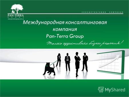 Международная консалтинговая компания Pan-Terra Group.