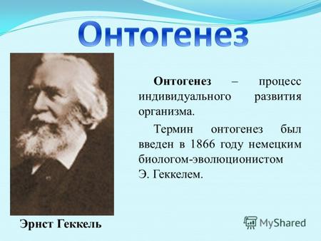 Онтогенез – процесс индивидуального развития организма. Термин онтогенез был введен в 1866 году немецким биологом-эволюционистом Э. Геккелем. Эрнст Геккель.
