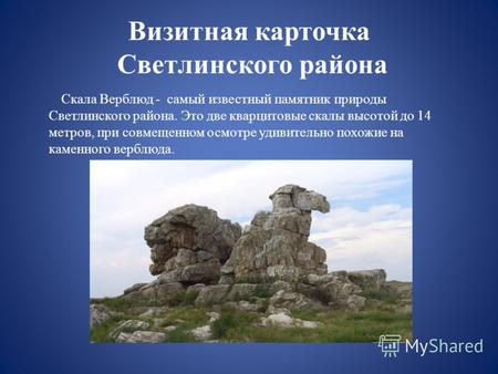 Визитная карточка Светлинского района Скала Верблюд - самый известный памятник природы Светлинского района. Это две кварцитовые скалы высотой до 14 метров,