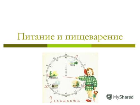 Питание и пищеварение. Питание  collection.edu.ru/dlrstore/00000224-1000- 4ddd-c019-490046b326a1/202.swf.