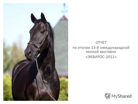 ОТЧЕТ по итогам 13-й международной конной выставки «ЭКВИРОС-2011»