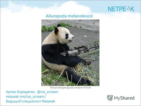 Артем Бородатюк, @ice_scream netpeak.me/ice_scream/ Ведущий специалист Netpeak Нескучный доклад про алгоритм Panda Ailuropoda melanoleuca.