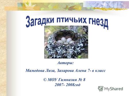 Авторы: Мамедова Лиза, Захарова Алена 7- в класс © МОУ Гимназия 8 2007- 2008год.