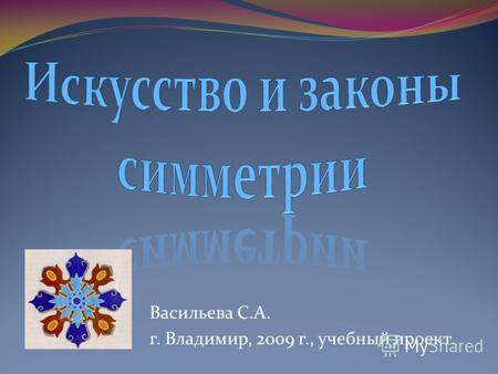 Васильева С.А. г. Владимир, 2009 г., учебный проект.