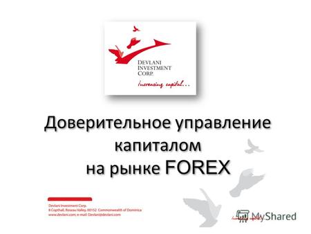 Доверительное управление капиталом на рынке FOREX.