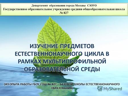 Департамент образования города Москвы СЗОУО Государственное образовательное учреждение средняя общеобразовательная школа 827.