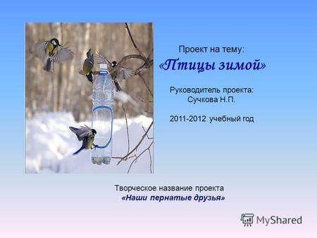 Проект на тему: «Птицы зимой» Руководитель проекта: Сучкова Н.П. 2011-2012 учебный год Творческое название проекта «Наши пернатые друзья»