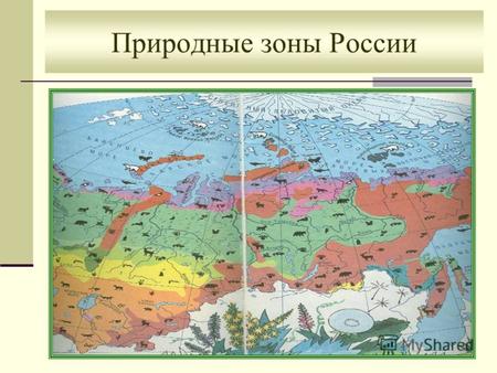 Природные зоны России. Тест «Природная зона лесов» 1.Зона лесов состоит из: а)пяти частей б)трех частей в)двух частей 2.Природные зоны расположены: а)тундра,