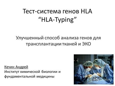 Тест-система генов HLA HLA-Typing Улучшенный способ анализа генов для трансплантации тканей и ЭКО Кечин Андрей Институт химической биологии и фундаментальной.