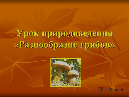 Урок природоведения «Разнообразие грибов». Задачи: Расширить знания о грибах; Расширить знания о грибах; Дать представление об одноклеточных и многоклеточных.