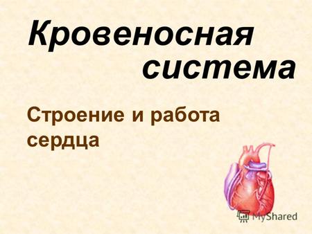 Кровеносная система Строение и работа сердца. ??? При каких условиях кровь может выполнять свои функции?