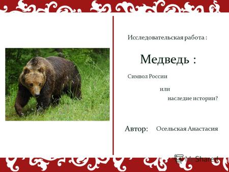 Наследие истории? Символ России или Медведь : Автор: Осельская Анастасия Исследовательская работа :