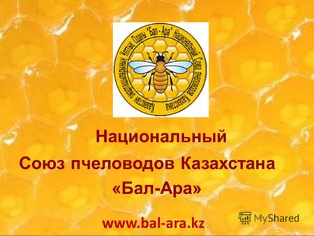 Национальный Союз пчеловодов Казахстана «Бал-Ара» www.bal-ara.kz.