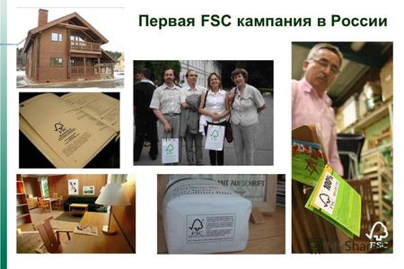 Первая FSC кампания в России. Рынки зеленеют… За последние годы на ведущих рынках резко увеличилась доля сертифицированных продуктов следующих систем: