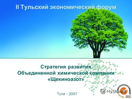Стратегия развития Объединенной химической компании «Щекиноазот» Тула - 2007.