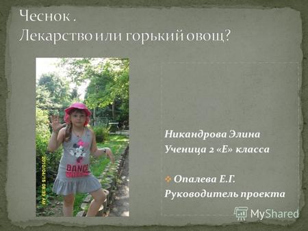 Никандрова Элина Ученица 2 «Е» класса Опалева Е.Г. Руководитель проекта.