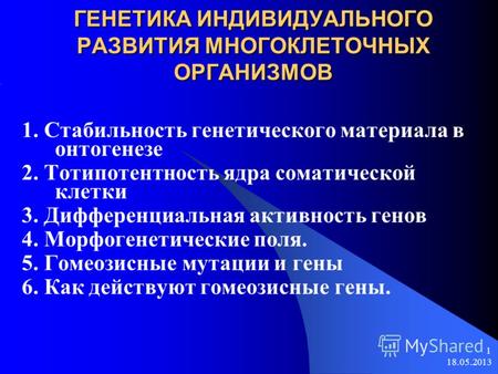 18.05.2013 1 ГЕНЕТИКА ИНДИВИДУАЛЬНОГО РАЗВИТИЯ МНОГОКЛЕТОЧНЫХ ОРГАНИЗМОВ 1. Стабильность генетического материала в онтогенезе 2. Тотипотентность ядра.