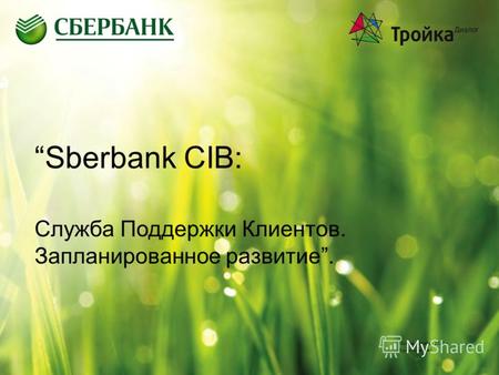 Sberbank CIB: Служба Поддержки Клиентов. Запланированное развитие. Москва, октябрь 2012 г. Бурихин Андрей.