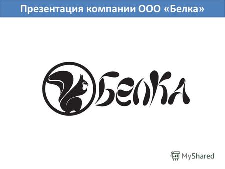 Презентация компании ООО «Белка». Целью нашей компании является: 1. популяризация в Нижегородской области, а далее и других ключевых регионах страны недорогой.