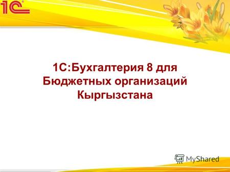 1С:Бухгалтерия 8 для Бюджетных организаций Кыргызстана.