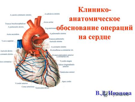 Клинико- анатомическое обоснование операций на сердце В.Д. Иванова.