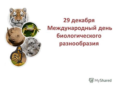 29 декабря Международный день биологического разнообразия.