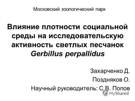 Влияние плотности социальной среды на исследовательскую активность светлых песчанок Gerbillus perpallidus Захарченко Д. Поздняков О. Научный руководитель: