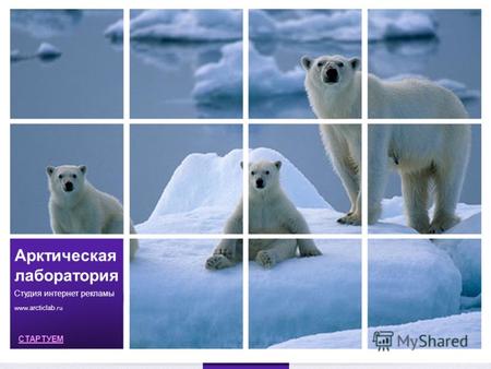 Арктическая лаборатория Студия интернет рекламы www. arcticlab.ru СТАРТУЕМ.