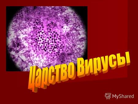 Вирус (от лат. virus яд) микроскопическая частица, способная инфицировать клетки живых организмов. Вирусы являются облигатными паразитами они не способны.