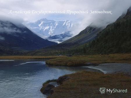 Алтайский Государственный Природный Заповедник Расположение и история Алтайского заповедника Заповедник официально создан в 1932 г., хотя необходимость.