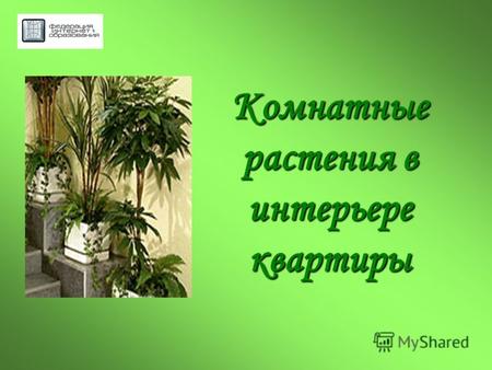 Комнатные растения в интерьере квартиры. Содержание Роль комнатных растений в жизни человекаРоль комнатных растений в жизни человека Разновидности растений.