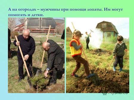 А на огородах – мужчины при помощи лопаты. Им могут помогать и детки.
