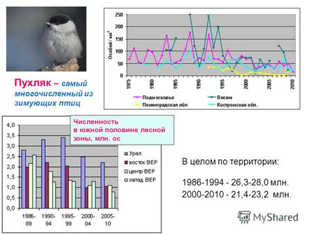 В целом по территории: 1986-1994 - 26,3-28,0 млн. 2000-2010 - 21,4-23,2 млн. Пухляк – самый многочисленный из зимующих птиц Численность в южной половине.